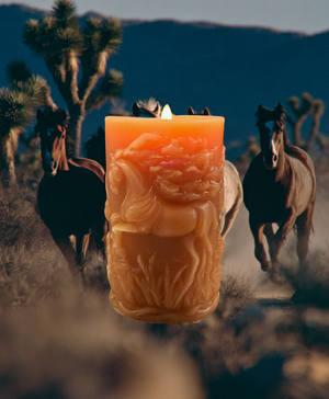 Wild Horses