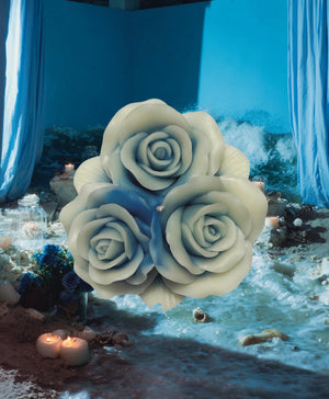 Aquamarine – Triton Rose